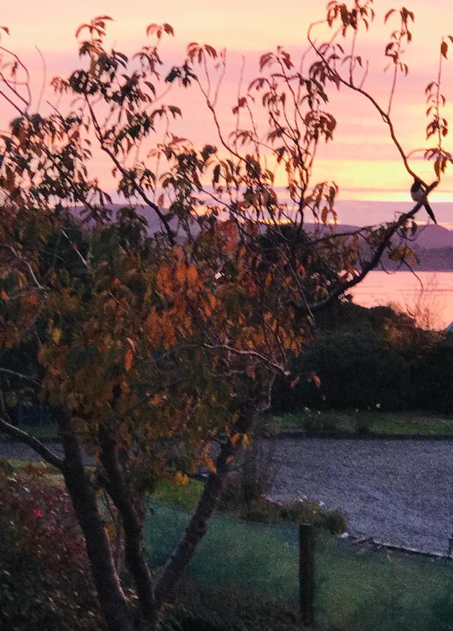 Niblick Bed & Breakfast Bantry Exterior foto