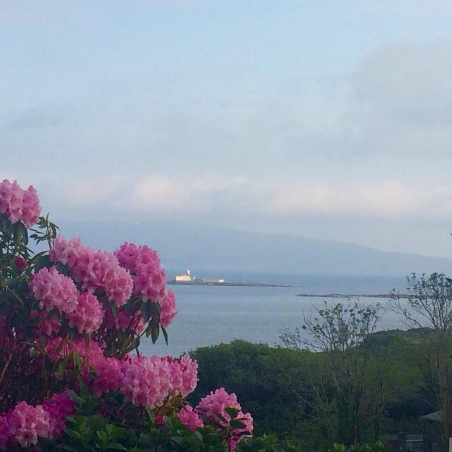 Niblick Bed & Breakfast Bantry Exterior foto